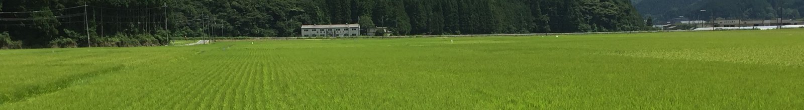 丹波農商の田んぼ